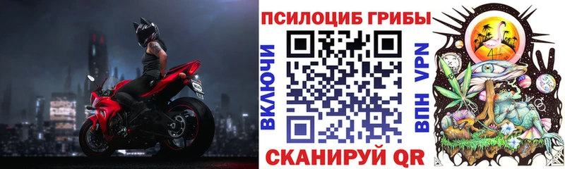 Галлюциногенные грибы ЛСД  где продают наркотики  Кузнецк 