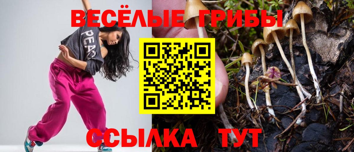 Псилоцибиновые грибы MAGIC MUSHROOMS  Вход с VPN  Кузнецк 