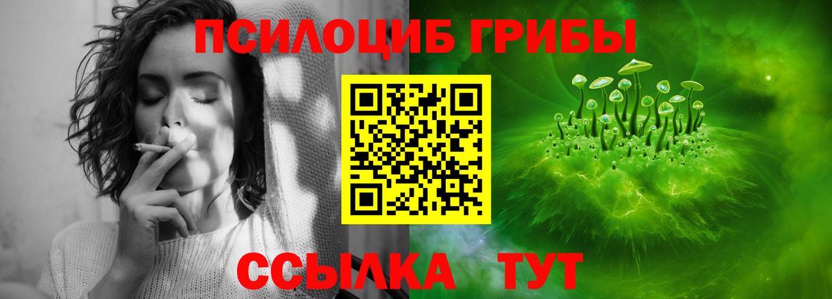 Галлюциногенные грибы GOLDEN TEACHER Кузнецк